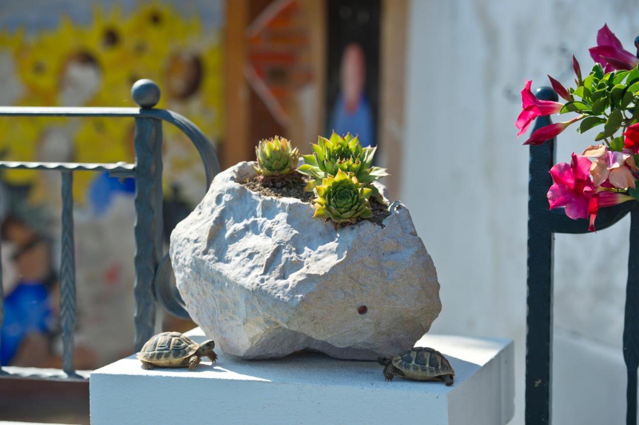 La Mela Blu Bed & Breakfast Furore Luaran gambar